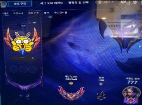 전 구간 제일 싸게합니다 !! GM 8층 정글러입니다 !